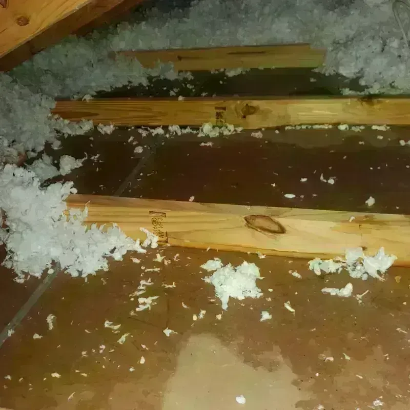 Attic Water Damage in Vineland, MN